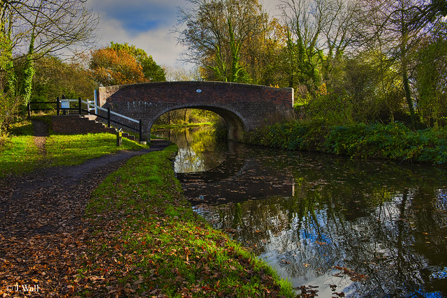 Coventry Canal Fradley Nov 2021