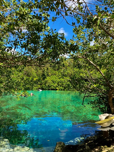 Get Outside in Cancun: 3 Best Nature Activities