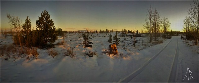 Icelandic Winter Sun