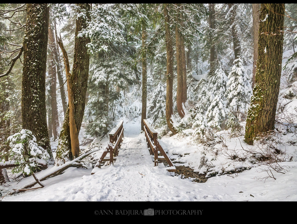 Winter Wonderland in North Vancouver, BC, Canada
