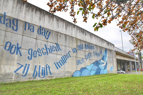 "Fiere Margriet", beautiful mural by artists Stina De Roeck & Warsnoes
