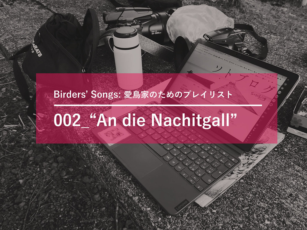 Birders-Songs-002