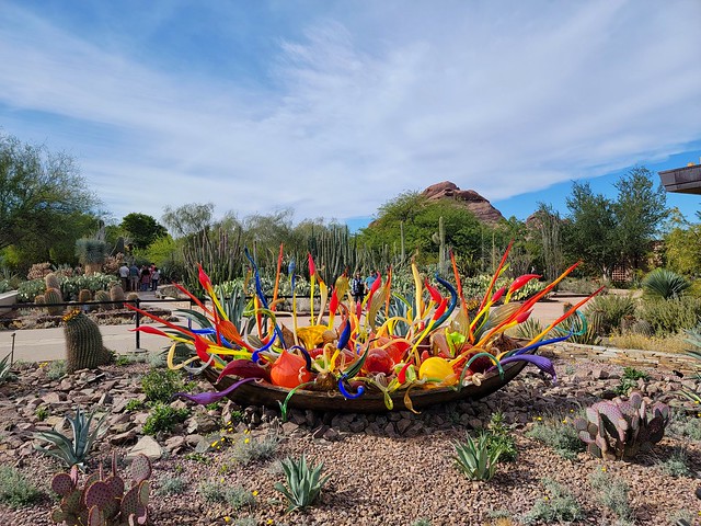 Desert Botanical Garden - Chihuly installation