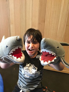 Shark puppet fun | by Christchurch City Libraries