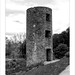 			<p><a href="https://www.flickr.com/people/studiaphotos/">Stuart Smith_</a> posted a photo:</p>
	
<p><a href="https://www.flickr.com/photos/studiaphotos/51697395705/" title="Defensive Tower, Blarney Castle, Monacnapa, Blarney, County Cork, Ireland"><img src="https://live.staticflickr.com/65535/51697395705_95bced55bd_m.jpg" width="160" height="240" alt="Defensive Tower, Blarney Castle, Monacnapa, Blarney, County Cork, Ireland" /></a></p>

<p><a href="https://www.google.com.au/maps/@51.9292931,-8.570229,3a,75y,200.68h,105.36t/data=!3m8!1e1!3m6!1sAF1QipNqR25bTDMggZMDe1BCip__8X-Oet1ZC3jDFJjb!2e10!3e11!6shttps://lh5.googleusercontent.com/p/AF1QipNqR25bTDMggZMDe1BCip__8X-Oet1ZC3jDFJjb=w203-h100-k-no-pi-0-ya208.36078-ro0-fo100!7i6080!8i3040?hl=en" rel="noreferrer nofollow"><b>Click here for 360° Panoramic View</b></a></p>