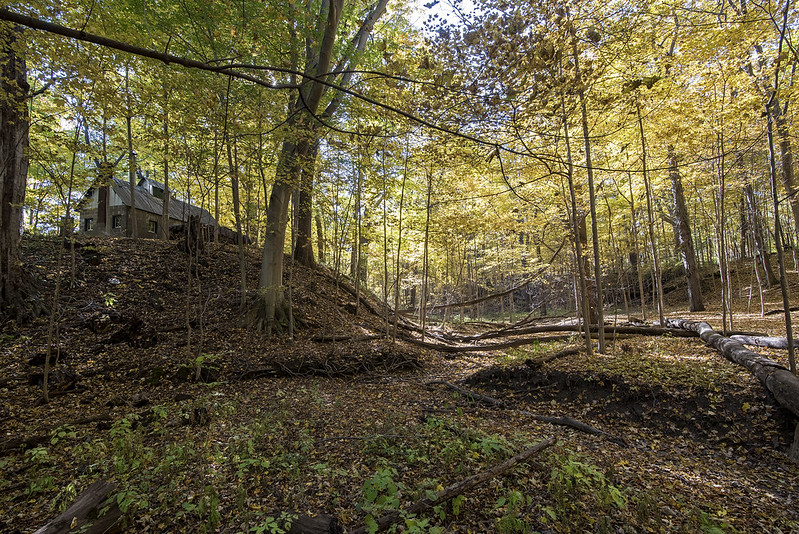 Fall at the Sugar Shack