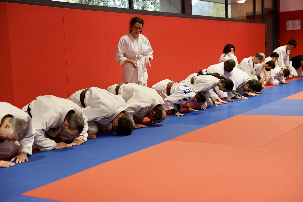 Handi judo 78 avec le comité des Yvelines de judo
