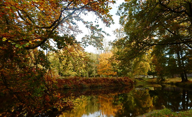 Herbstzeit...