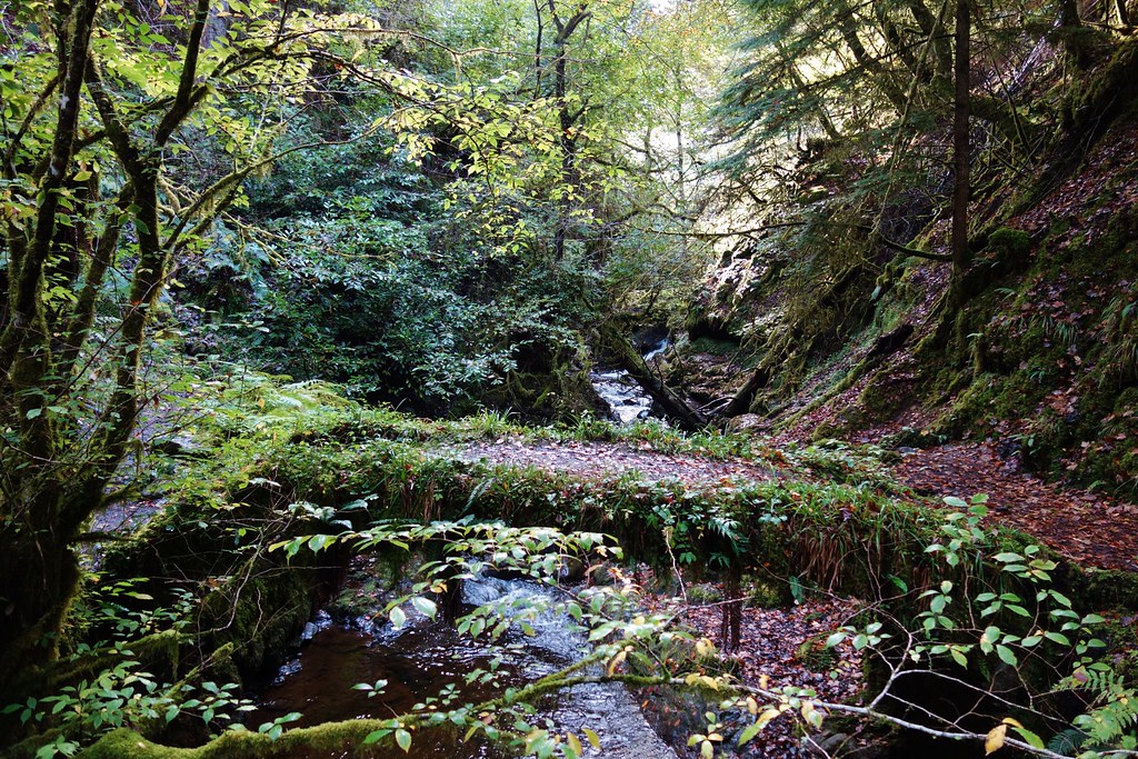 Reeling Walk Walk Report - A short stomp up Reelig Glen • Walkhighlands
