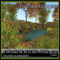 TMG # A Splash of Autumn - Pond