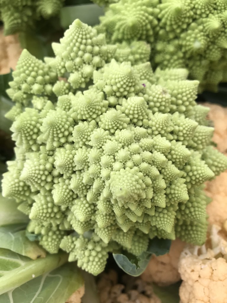 Romanesco broccoli from Sunshine farms, Lompoc, CA