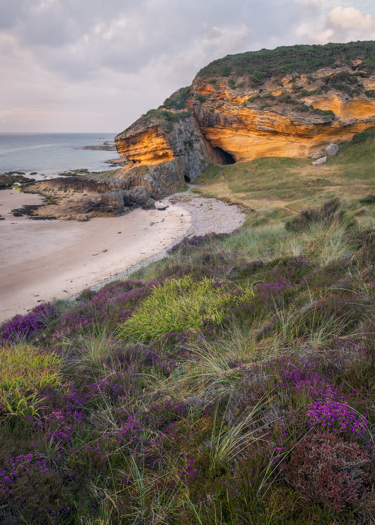 ​a thing of beauty ​| Clashach Cove | Morayshire