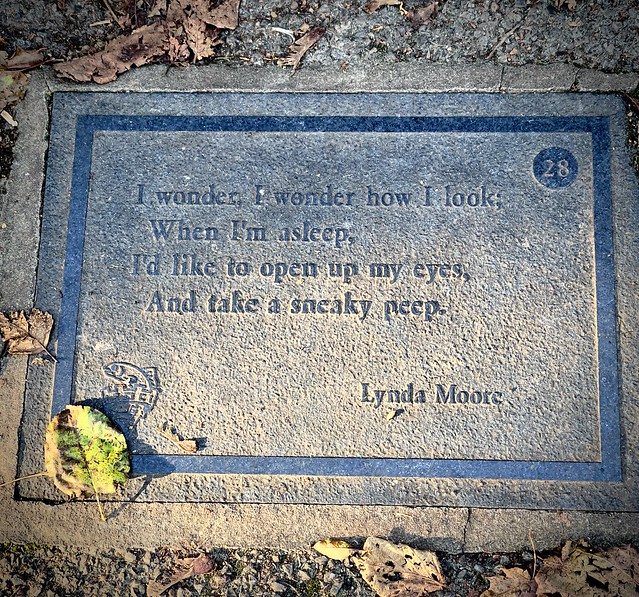 One of the plaques on a Poetry Trail beside the River Anton in Andover, Hampshire