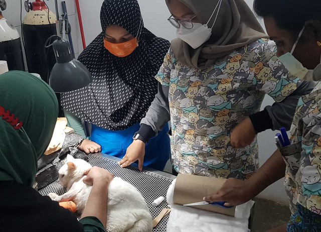 Klinik Ct Vet Di Johor Bahru Ajak Jaga Haiwan Dengan Baik