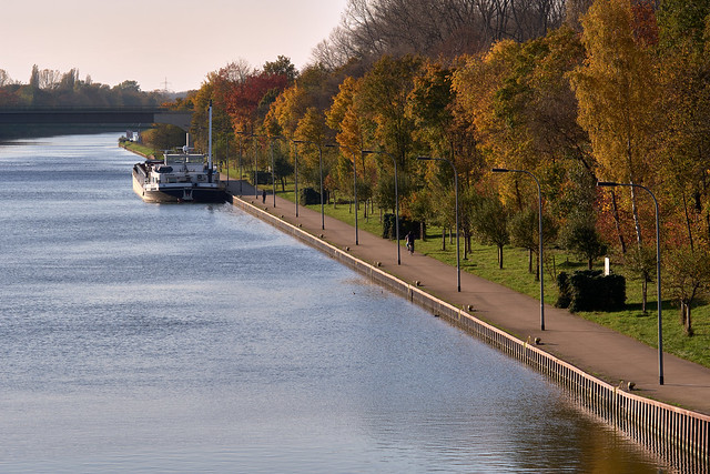 autumn at the canal