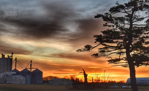 Granary and Tree Against the Dawn Sky by Mike Sherman Michigan Artist, While on my way to get my son yesterday, I stopped at Howard City, Michigan just as the sun was risi