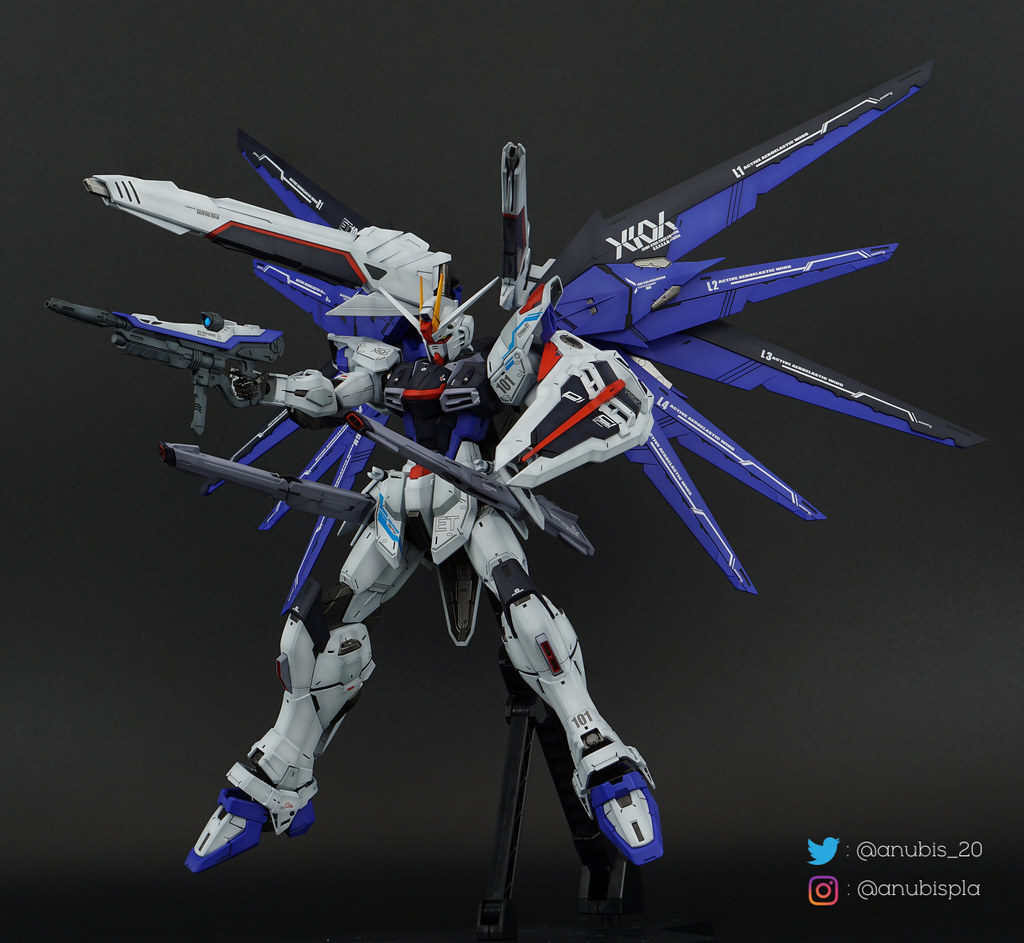 MG Freedom 2.0 Painted Build