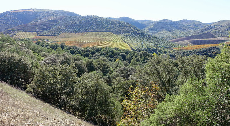 Camino de Hierro, La Fregeneda (Salamanca). Túneles, puentes y paisajes. - Senderismo por España. Mis rutas favoritas: emblemáticas, paseos y caminatas (79)