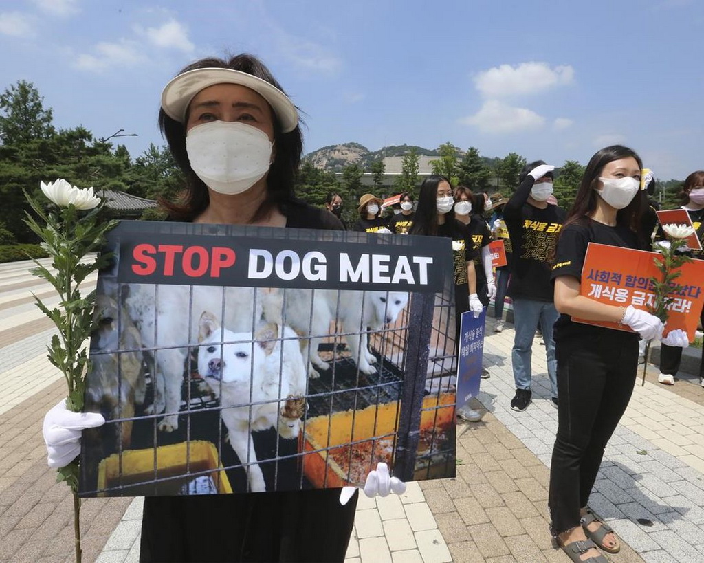 stop-dog-meat