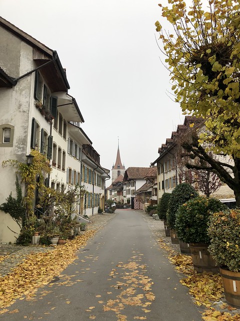 Fall color on Schulgasse, view to Deutsche Kirche, Murten, Switzerland