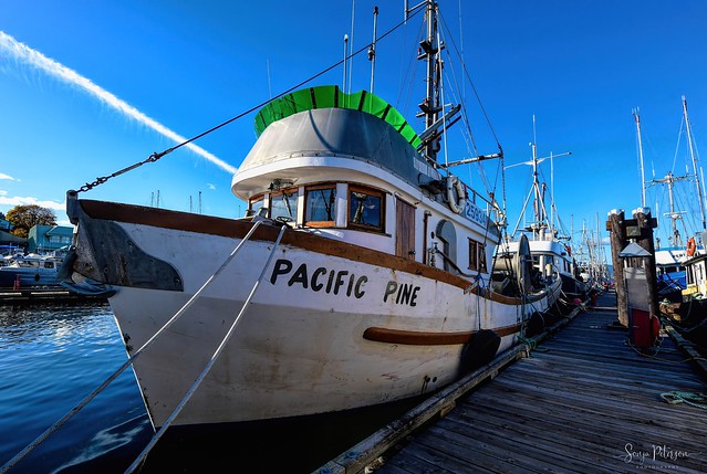 PACIFIC PINE Vessel c. 1974 - Discovery Harbour Marina