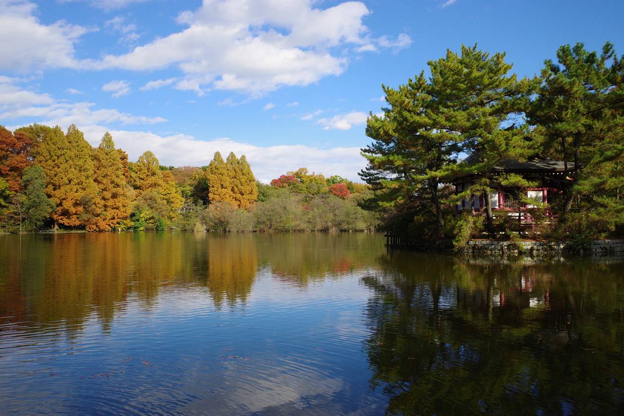 秋の石神井公園　三宝寺池の紅葉と厳島神社