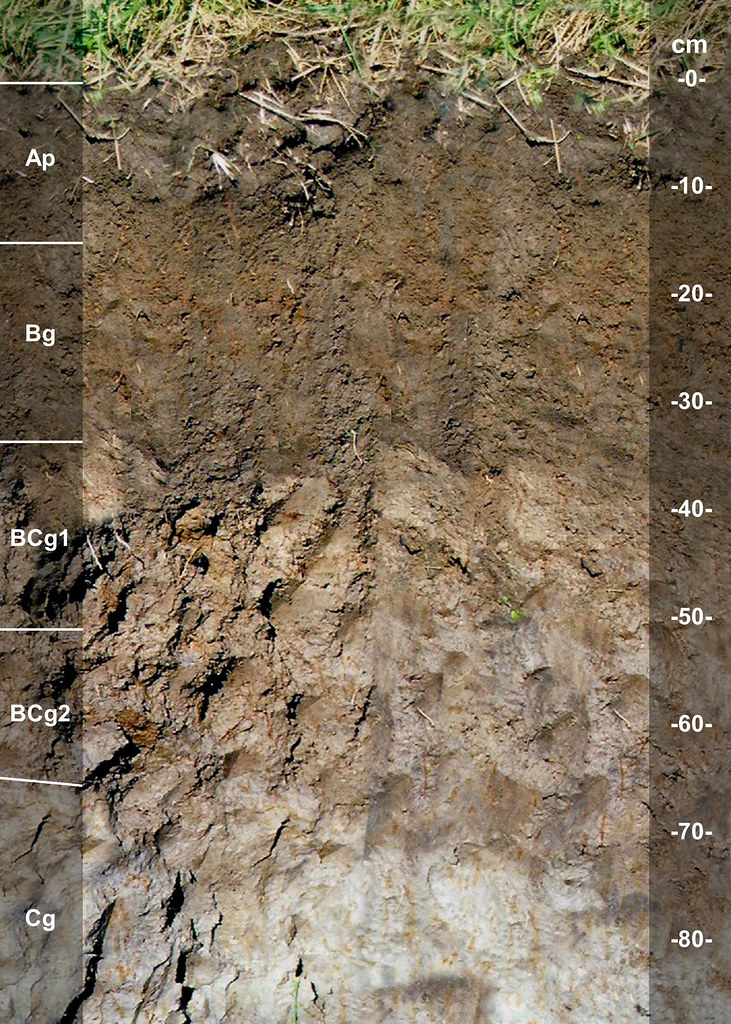 Limerick soil series