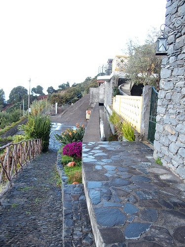 Levada blomster