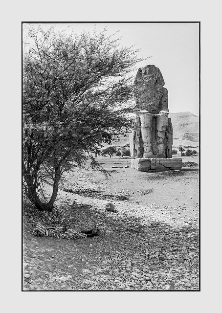 Siesta, Luxor - August 1981