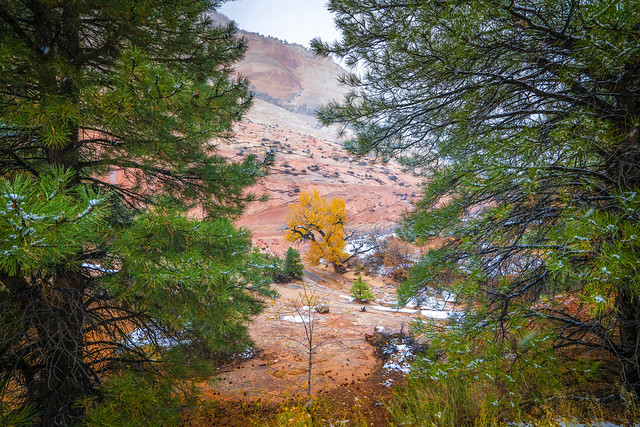 Zion National Park Autumn Colors Utah Fall Foliage Fine Art Landscape Photography!  Zion East Side Canyons, Washes, Maples, Snow, and Cottonwood Trees! Dr. Elliot McGucken Fine Art Landscape Photography Utah Autumn Snowstorm Clearing!