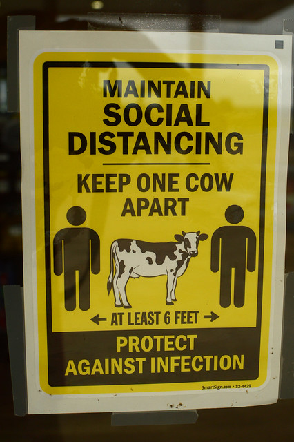 Keep one cow apart