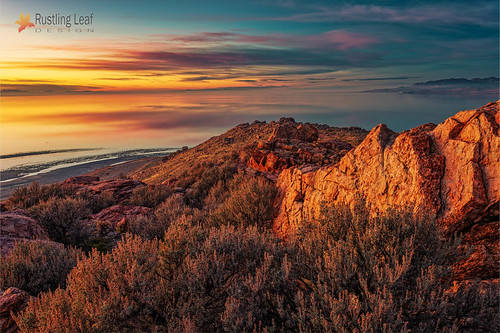 Hike +Buffalo Point, Antelope Island, Utah (18 of 21) | by Scott Stringham "Rustling Leaf Design"