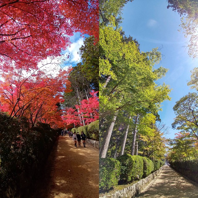 November and September at the same pathway