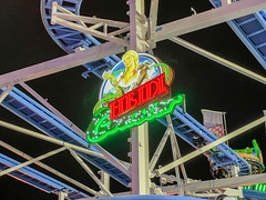 Photo 18 of 25 in the Wandering into Winter Wonderland (26th Nov 2021) gallery