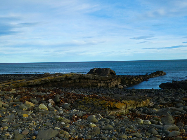 Along the Northumberland coast