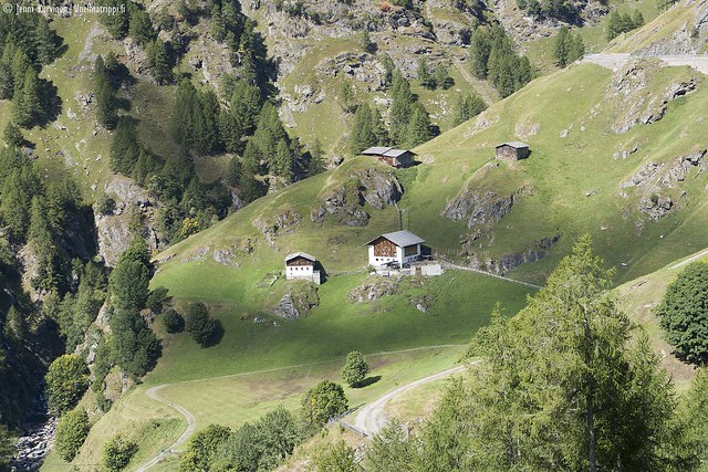 Taloja vihreässä maisemassa Timmelsjochin alppitien varrella Italian puolella