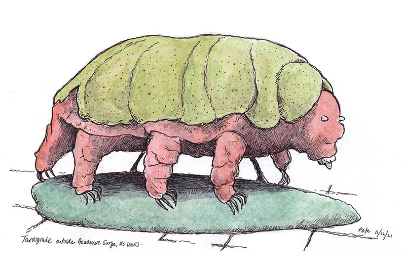 tardigrade uc davis