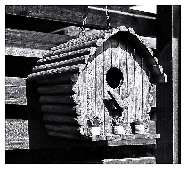 Casa de Pájaros (Birds House)
