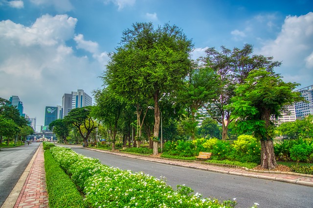 Lumphini Park in Bangkok, Thailand
