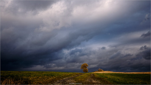 Tree against dramatic sky | by bernd obervossbeck