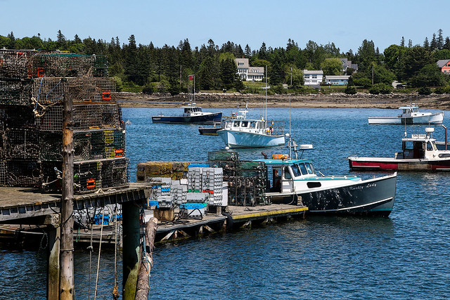 A busy little lobster port in Maine