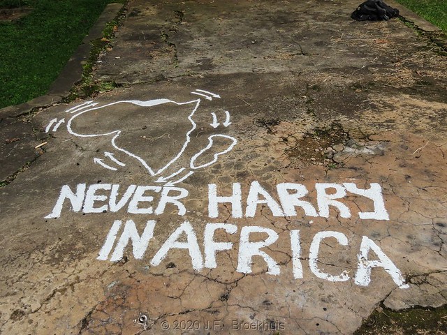Never Harry In Africa