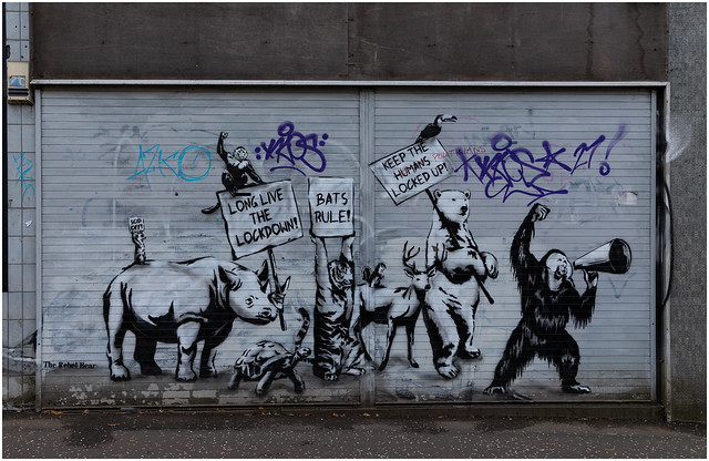 Lockdown Protest Graffiti, Glasgow