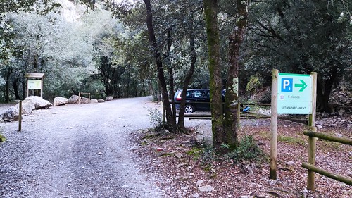 IMG_20211128_084348