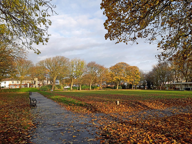 Autumn in Ridley Park 6