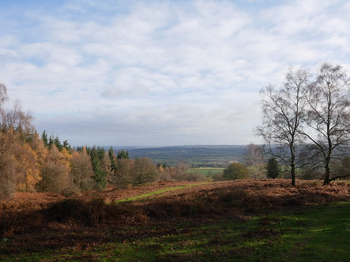 Views from Bircher Common