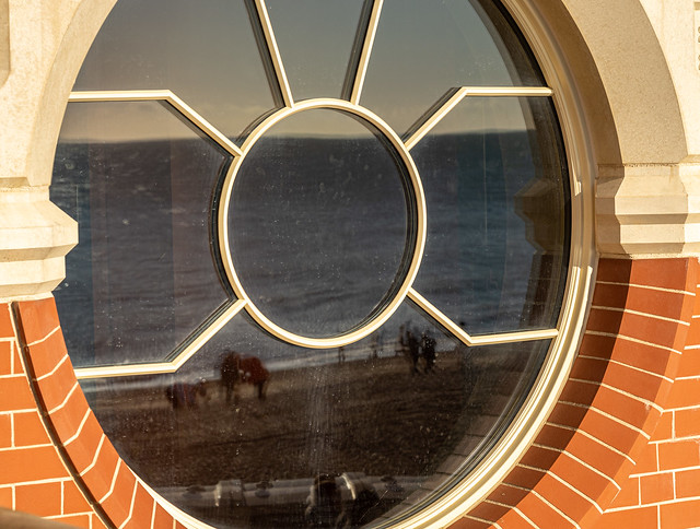 Reflectins of the seafront