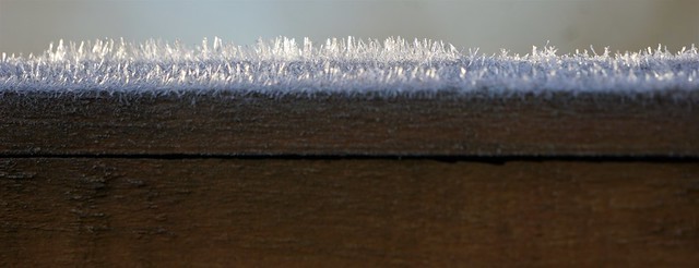 Thick frost on my fence