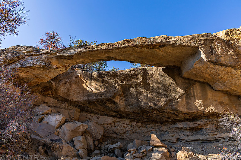 Delgadita Canyon Arch
