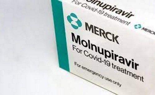 molnupiravir01